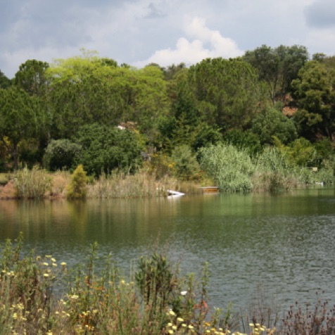 Lovely Algarve dam in springtime